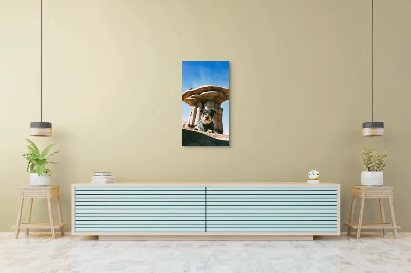 Tablou Canvas, "Câine lângă stânci de poveste", Câine, Stânci, Cer, Nori, Soare, Umbre, Natură, Peisaj, Liniște, Aventură, 50 x 90 cm – poza 6