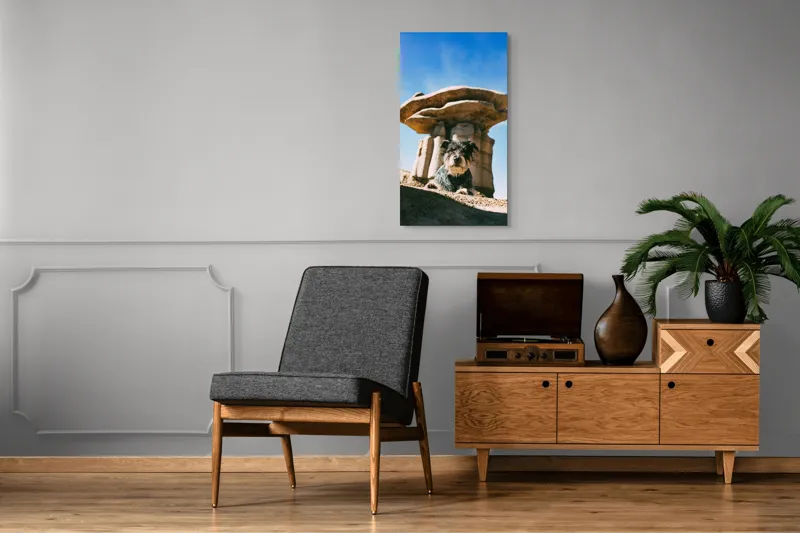 Tablou Canvas, "Câine lângă stânci de poveste", Câine, Stânci, Cer, Nori, Soare, Umbre, Natură, Peisaj, Liniște, Aventură, 50 x 90 cm – poza 8