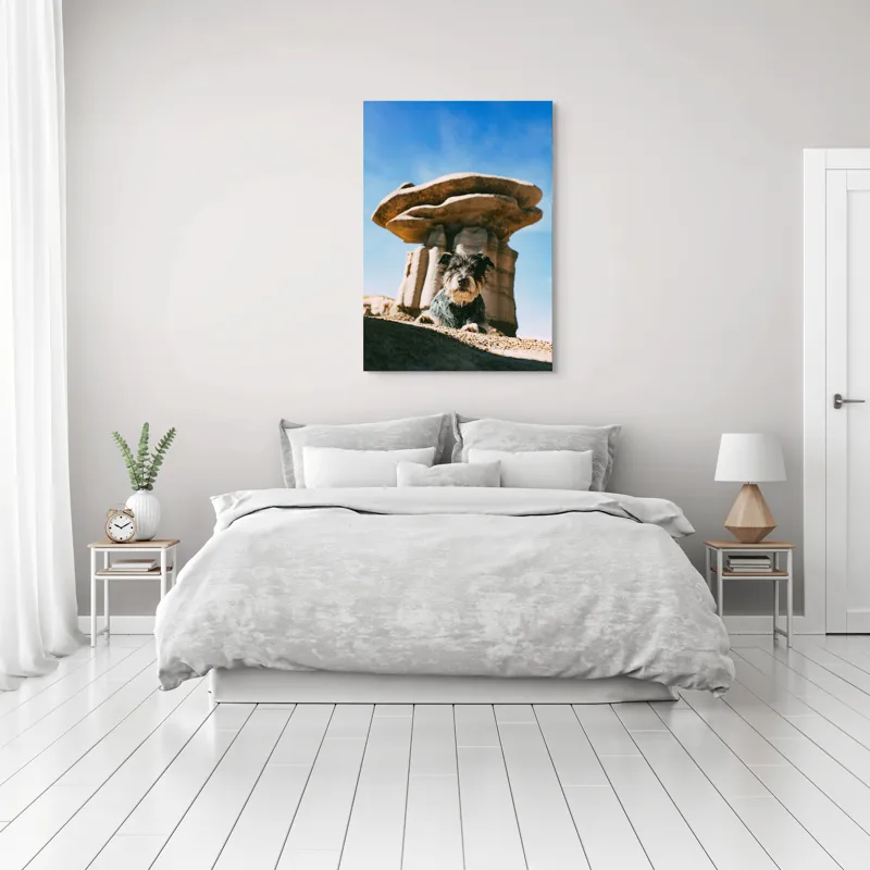 Tablou Canvas, "Câine lângă stânci de poveste", Câine, Stânci, Cer, Nori, Soare, Umbre, Natură, Peisaj, Liniște, Aventură, 70 x 100 cm – poza 3