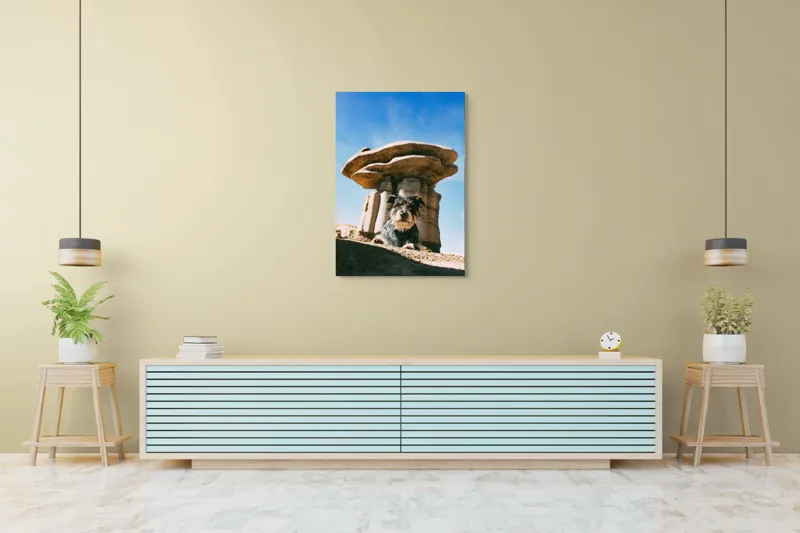 Tablou Canvas, "Câine lângă stânci de poveste", Câine, Stânci, Cer, Nori, Soare, Umbre, Natură, Peisaj, Liniște, Aventură, 70 x 100 cm – poza 5