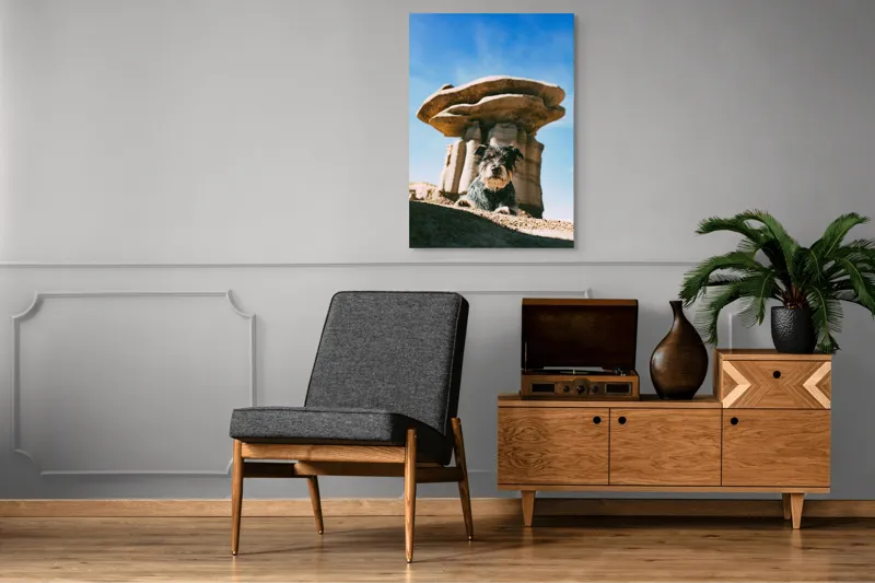 Tablou Canvas, "Câine lângă stânci de poveste", Câine, Stânci, Cer, Nori, Soare, Umbre, Natură, Peisaj, Liniște, Aventură, 70 x 100 cm – poza 6