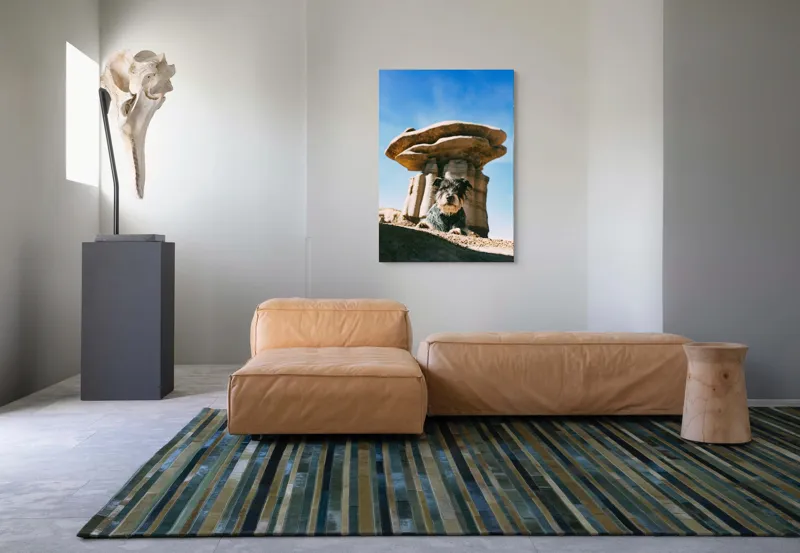 Tablou Canvas, "Câine lângă stânci de poveste", Câine, Stânci, Cer, Nori, Soare, Umbre, Natură, Peisaj, Liniște, Aventură, 70 x 100 cm – poza 7