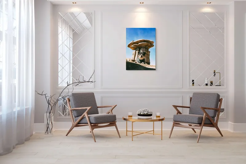 Tablou Canvas, "Câine lângă stânci de poveste", Câine, Stânci, Cer, Nori, Soare, Umbre, Natură, Peisaj, Liniște, Aventură, 70 x 100 cm – poza 8