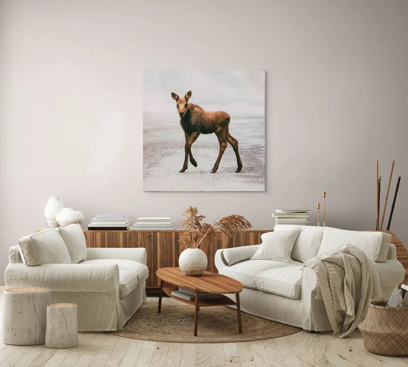 Tablou Canvas, "Pui de elan pe drum liniștit", 100 x 100 cm – poza 3