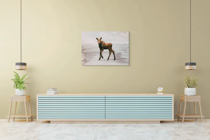 Tablou Canvas, "Pui de elan pe drum liniștit", 100 x 70 cm – poza 4