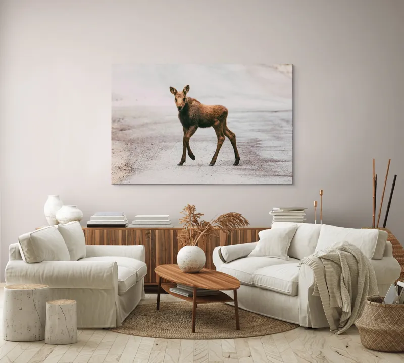 Tablou Canvas, "Pui de elan pe drum liniștit", 150 x 100 cm – poza 3