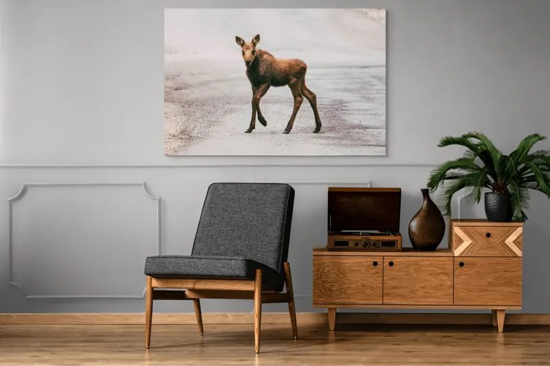 Tablou Canvas, "Pui de elan pe drum liniștit", 150 x 100 cm – poza 8