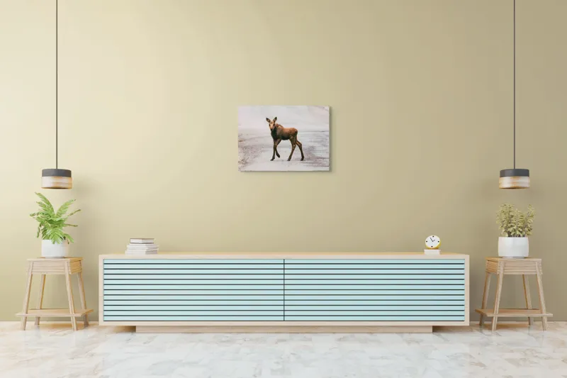 Tablou Canvas, "Pui de elan pe drum liniștit", 70 x 50 cm – poza 7
