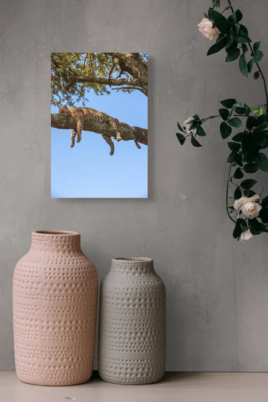 Tablou Canvas, "Leopard odihnindu-se pe creanga securizată", Leopard, Odihnă, Copac, Cer, Ramură, Relaxează-te, Natură, Somn., 26 x 39 cm – poza 6