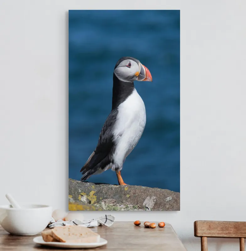 Tablou Canvas, "Papagalul de mare pe stânca albastră", Pasăre, Stâncă, Ocean, Colori, Cioc, Pene, Natură, Serenitate, 50 x 90 cm – poza 3