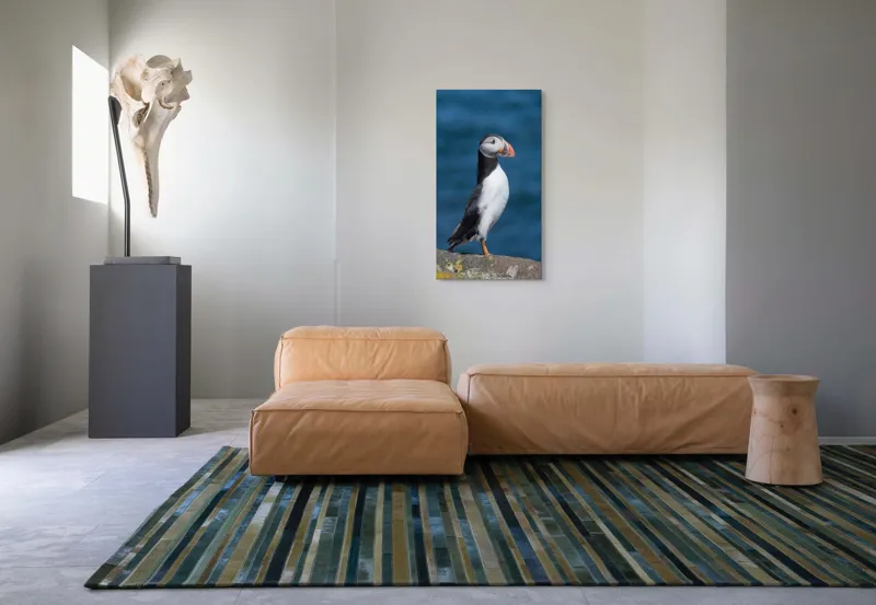 Tablou Canvas, "Papagalul de mare pe stânca albastră", Pasăre, Stâncă, Ocean, Colori, Cioc, Pene, Natură, Serenitate, 50 x 90 cm – poza 5