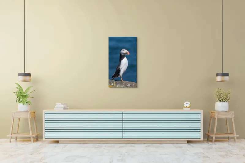 Tablou Canvas, "Papagalul de mare pe stânca albastră", Pasăre, Stâncă, Ocean, Colori, Cioc, Pene, Natură, Serenitate, 50 x 90 cm – poza 6