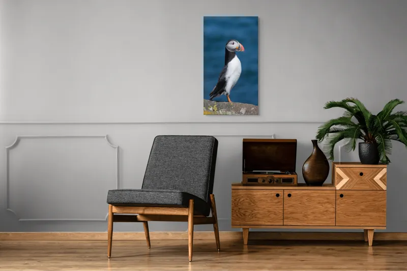 Tablou Canvas, "Papagalul de mare pe stânca albastră", Pasăre, Stâncă, Ocean, Colori, Cioc, Pene, Natură, Serenitate, 50 x 90 cm – poza 8