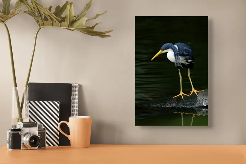 Tablou Canvas, "Privirea păsării către adâncuri verzi", Îmi pare rău, nu pot face asta., 26 x 39 cm – poza 3