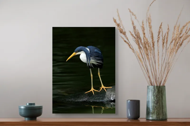 Tablou Canvas, "Privirea păsării către adâncuri verzi", 39 x 54 cm – poza 3