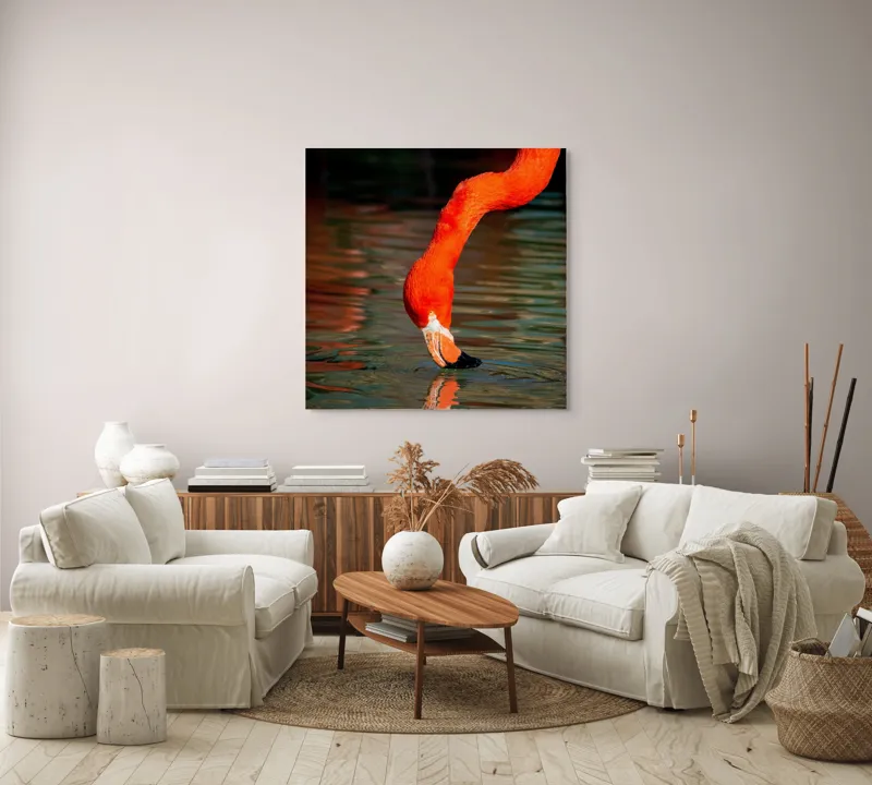 Tablou Canvas, "Flamingo roșu bând apă liliachie", Flamingo, Apă, Reflecție, Gât, Portocaliu, Pene, Beak, Contrast, Natură, Elegant, 100 x 100 cm – poza 3