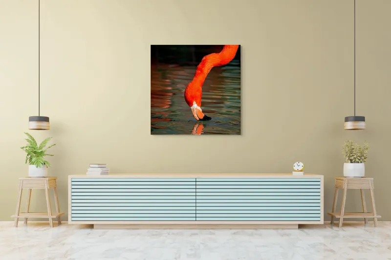 Tablou Canvas, "Flamingo roșu bând apă liliachie", Flamingo, Apă, Reflecție, Gât, Portocaliu, Pene, Beak, Contrast, Natură, Elegant, 100 x 100 cm – poza 5