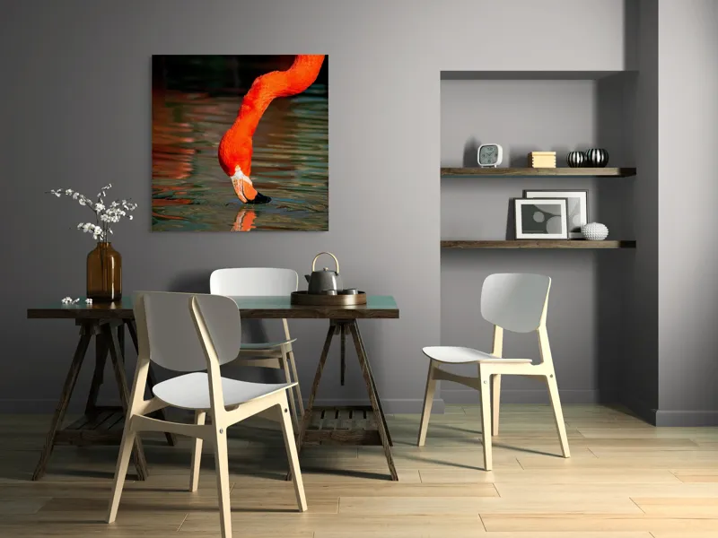 Tablou Canvas, "Flamingo roșu bând apă liliachie", Flamingo, Apă, Reflecție, Gât, Portocaliu, Pene, Beak, Contrast, Natură, Elegant, 100 x 100 cm – poza 6