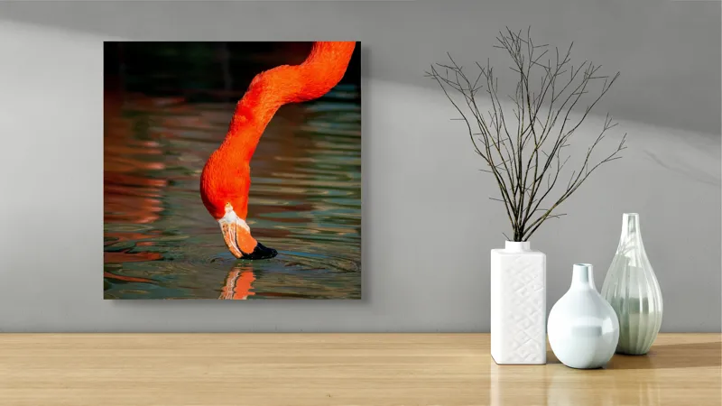 Tablou Canvas, "Flamingo roșu bând apă liliachie", Flamingo, Apă, Reflecție, Gât, Portocaliu, Pene, Beak, Contrast, Natură, Elegant, 50 x 50 cm – poza 3