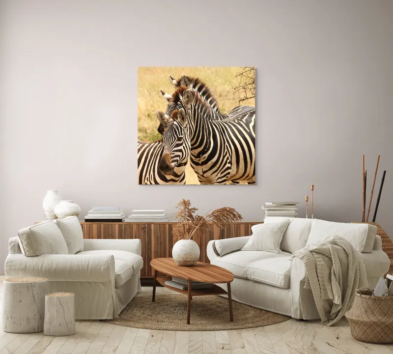 Tablou Canvas, "Trei zebre în savana africană", 100 x 100 cm – poza 3