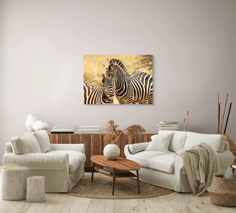 Tablou Canvas, "Trei zebre în savana africană", 100 x 70 cm – poza 3