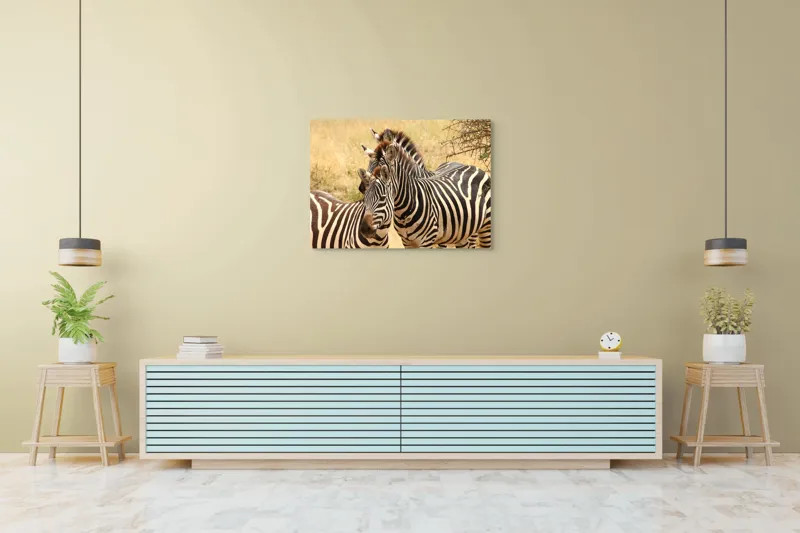 Tablou Canvas, "Trei zebre în savana africană", 100 x 70 cm – poza 4