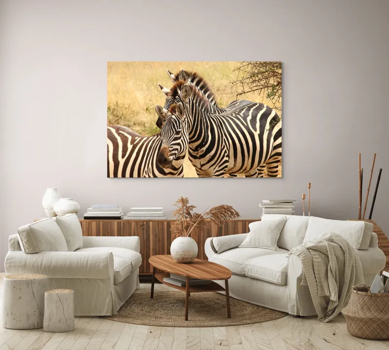 Tablou Canvas, "Trei zebre în savana africană", 150 x 100 cm – poza 3