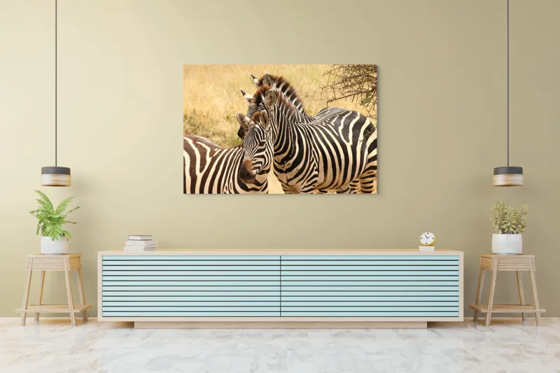 Tablou Canvas, "Trei zebre în savana africană", 150 x 100 cm – poza 6
