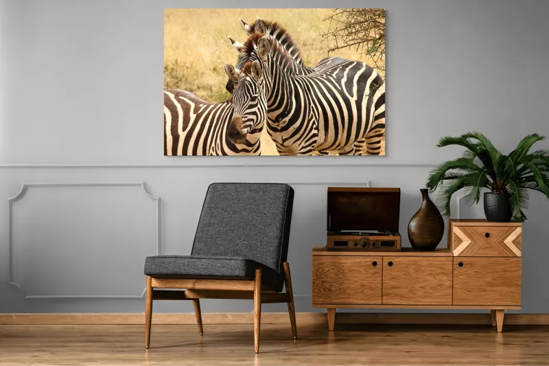 Tablou Canvas, "Trei zebre în savana africană", 150 x 100 cm – poza 8