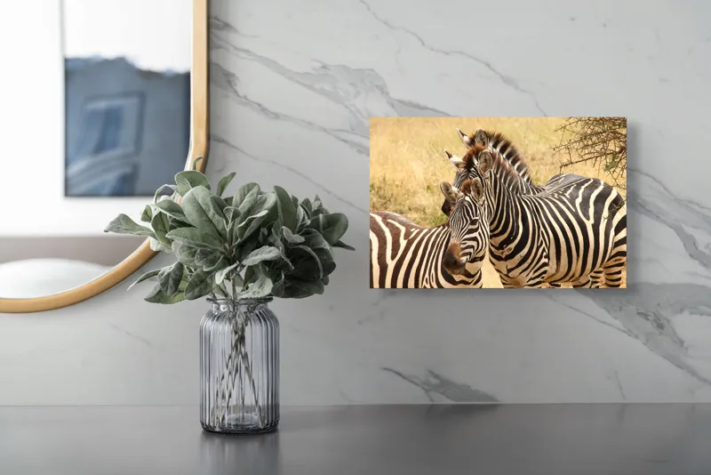 Tablou Canvas, "Trei zebre în savana africană", 39 x 26 cm – poza 5
