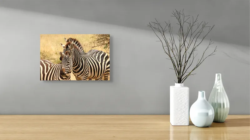 Tablou Canvas, "Trei zebre în savana africană", 39 x 26 cm – poza 8