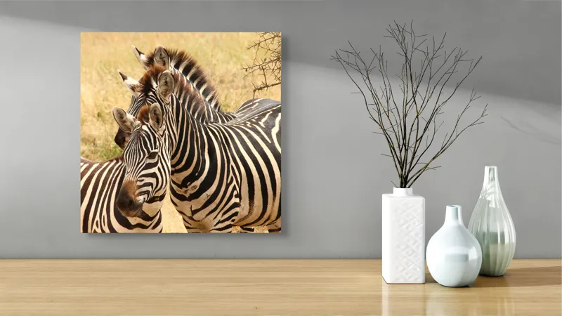 Tablou Canvas, "Trei zebre în savana africană", 50 x 50 cm – poza 3
