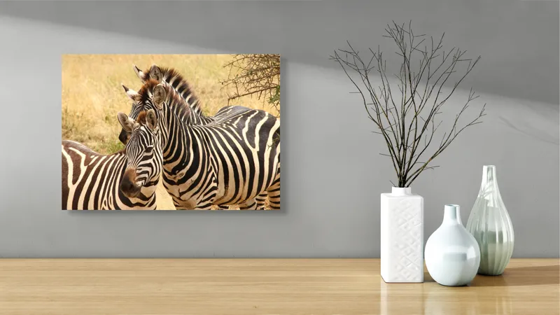 Tablou Canvas, "Trei zebre în savana africană", 54 x 39 cm – poza 3
