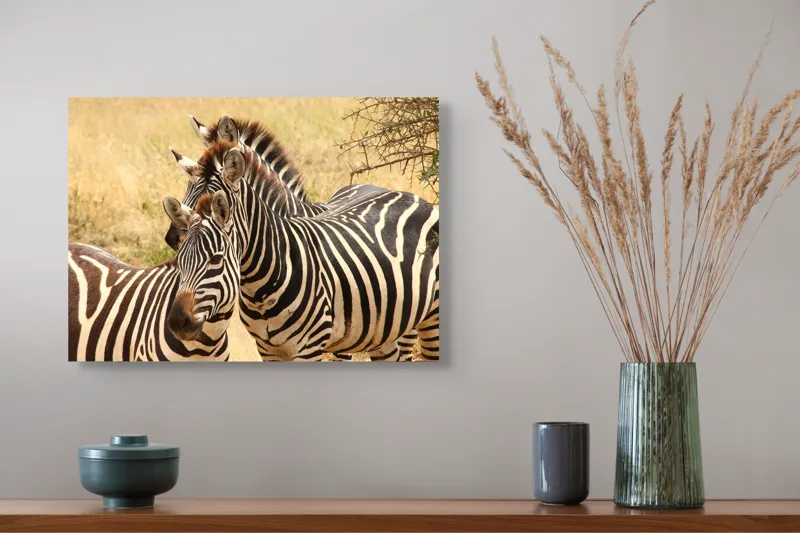 Tablou Canvas, "Trei zebre în savana africană", 54 x 39 cm – poza 4