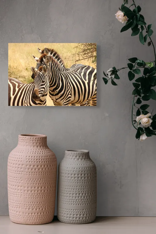 Tablou Canvas, "Trei zebre în savana africană", 54 x 39 cm – poza 8