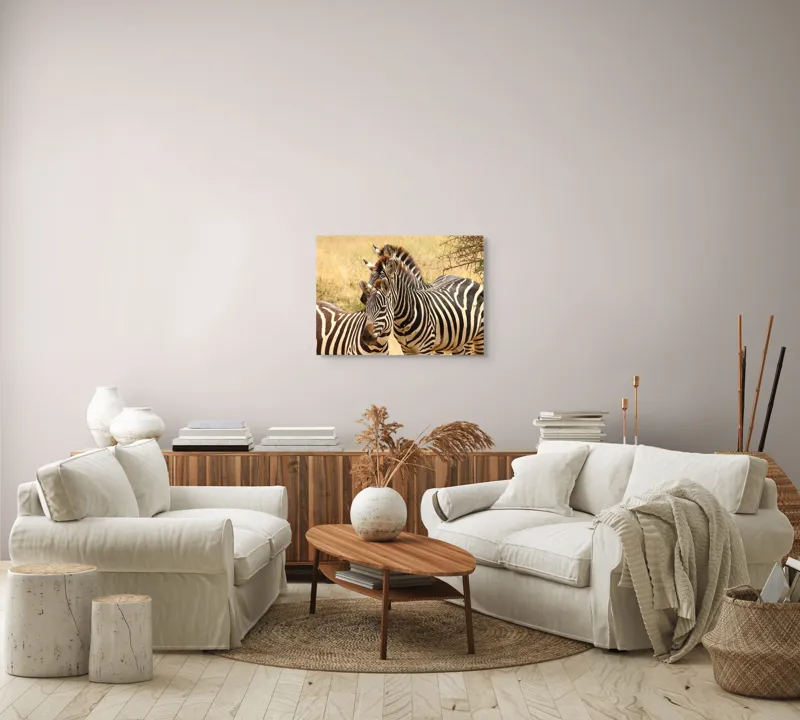 Tablou Canvas, "Trei zebre în savana africană", 70 x 50 cm – poza 6
