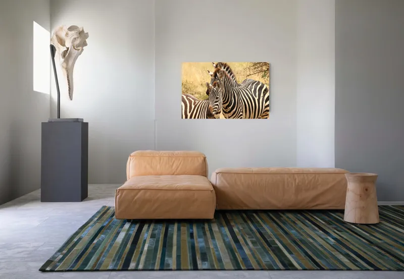 Tablou Canvas, "Trei zebre în savana africană", 90 x 50 cm – poza 8