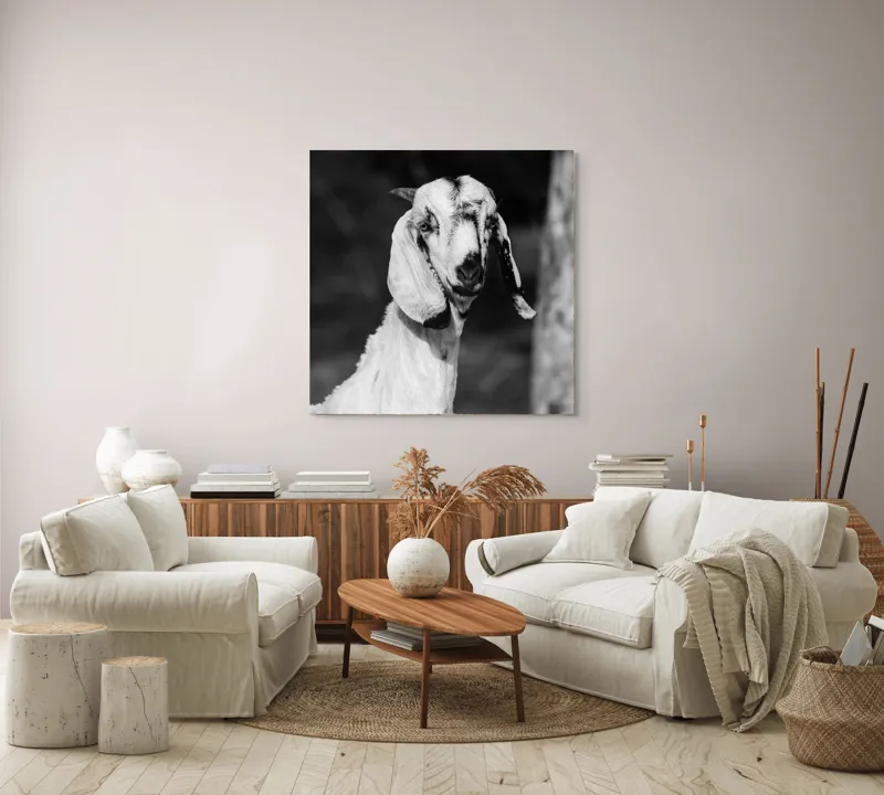 Tablou Canvas, "Capra cu urechi de mătase", 100 x 100 cm – poza 3