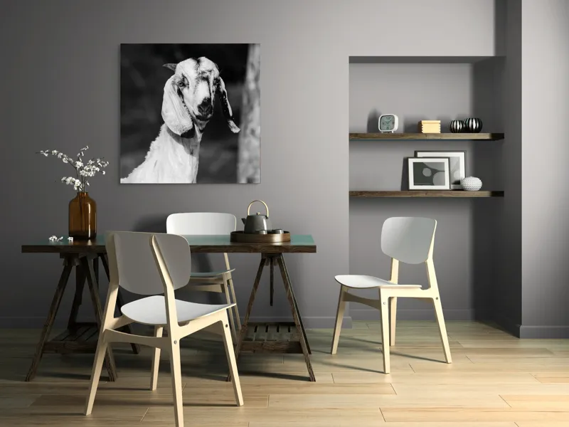 Tablou Canvas, "Capra cu urechi de mătase", 100 x 100 cm – poza 6