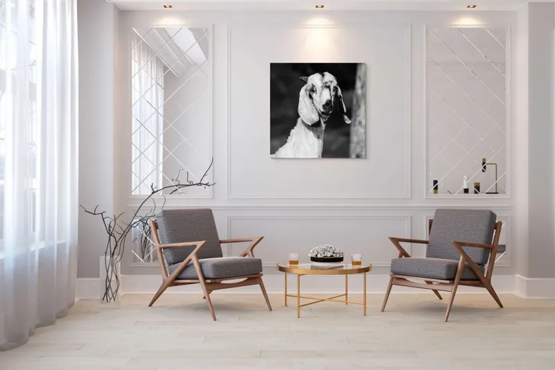 Tablou Canvas, "Capra cu urechi de mătase", 100 x 100 cm – poza 7