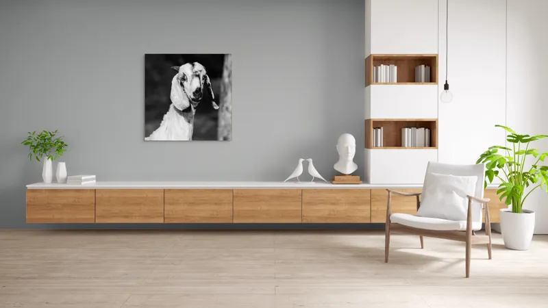 Tablou Canvas, "Capra cu urechi de mătase", 100 x 100 cm – poza 8
