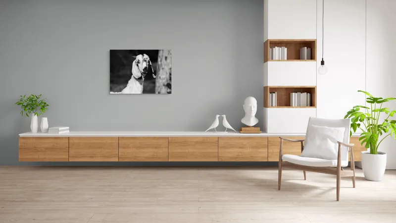 Tablou Canvas, "Capra cu urechi de mătase", Nu pot spune cine este în fotografie., 100 x 70 cm – poza 6