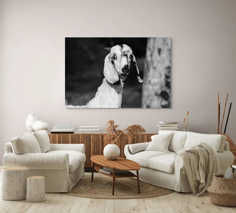 Tablou Canvas, "Capra cu urechi de mătase", 150 x 100 cm – poza 3