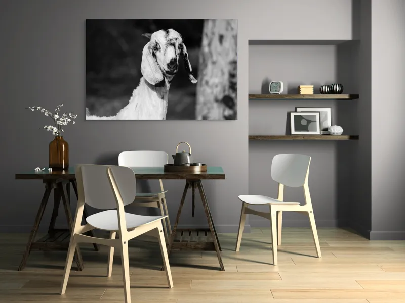 Tablou Canvas, "Capra cu urechi de mătase", 150 x 100 cm – poza 5