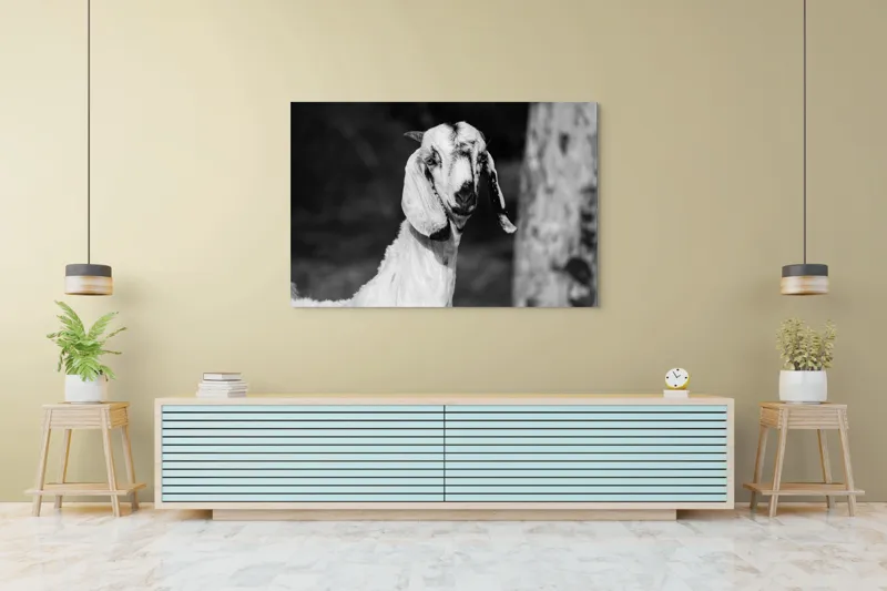Tablou Canvas, "Capra cu urechi de mătase", 150 x 100 cm – poza 6