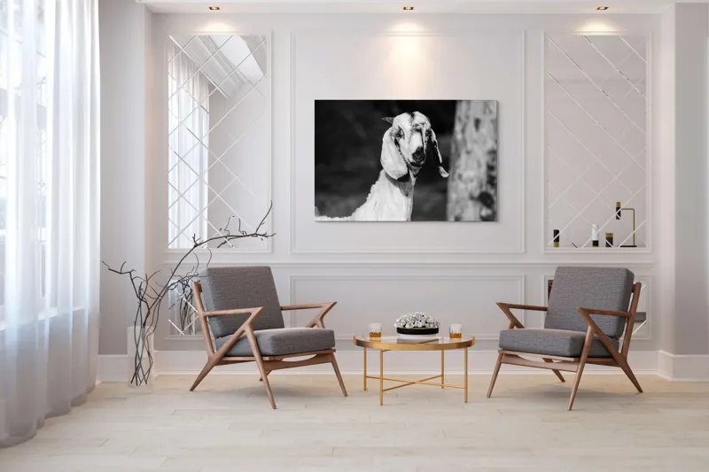 Tablou Canvas, "Capra cu urechi de mătase", 150 x 100 cm – poza 7