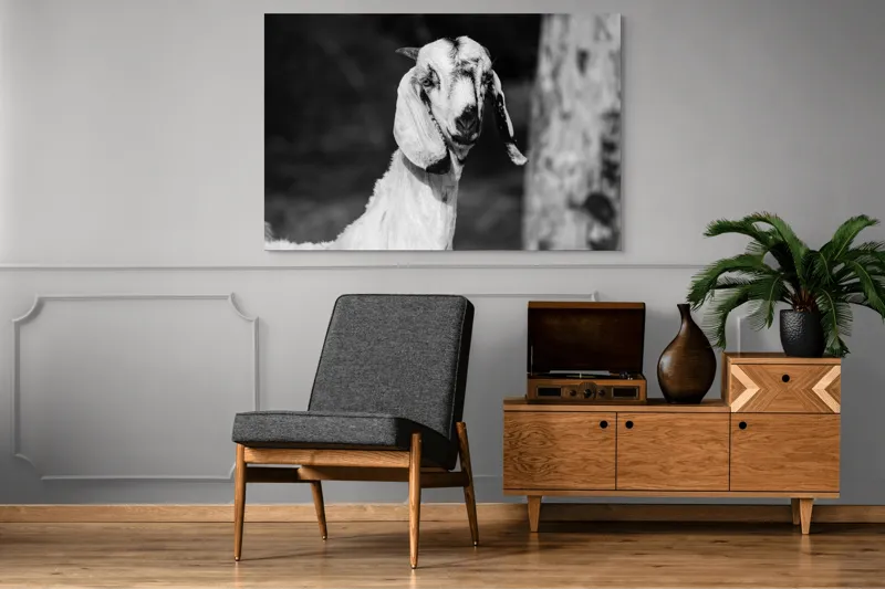 Tablou Canvas, "Capra cu urechi de mătase", 150 x 100 cm – poza 8