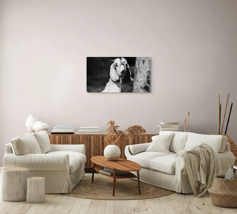 Tablou Canvas, "Capra cu urechi de mătase", 90 x 50 cm – poza 4