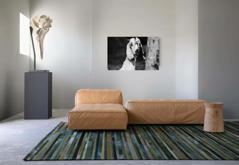 Tablou Canvas, "Capra cu urechi de mătase", 90 x 50 cm – poza 8