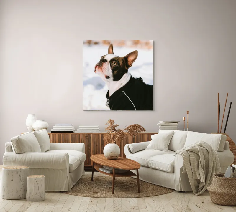 Tablou Canvas, "Câine în zăpadă privind cerul", 100 x 100 cm – poza 3
